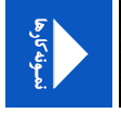 نمونه کارها